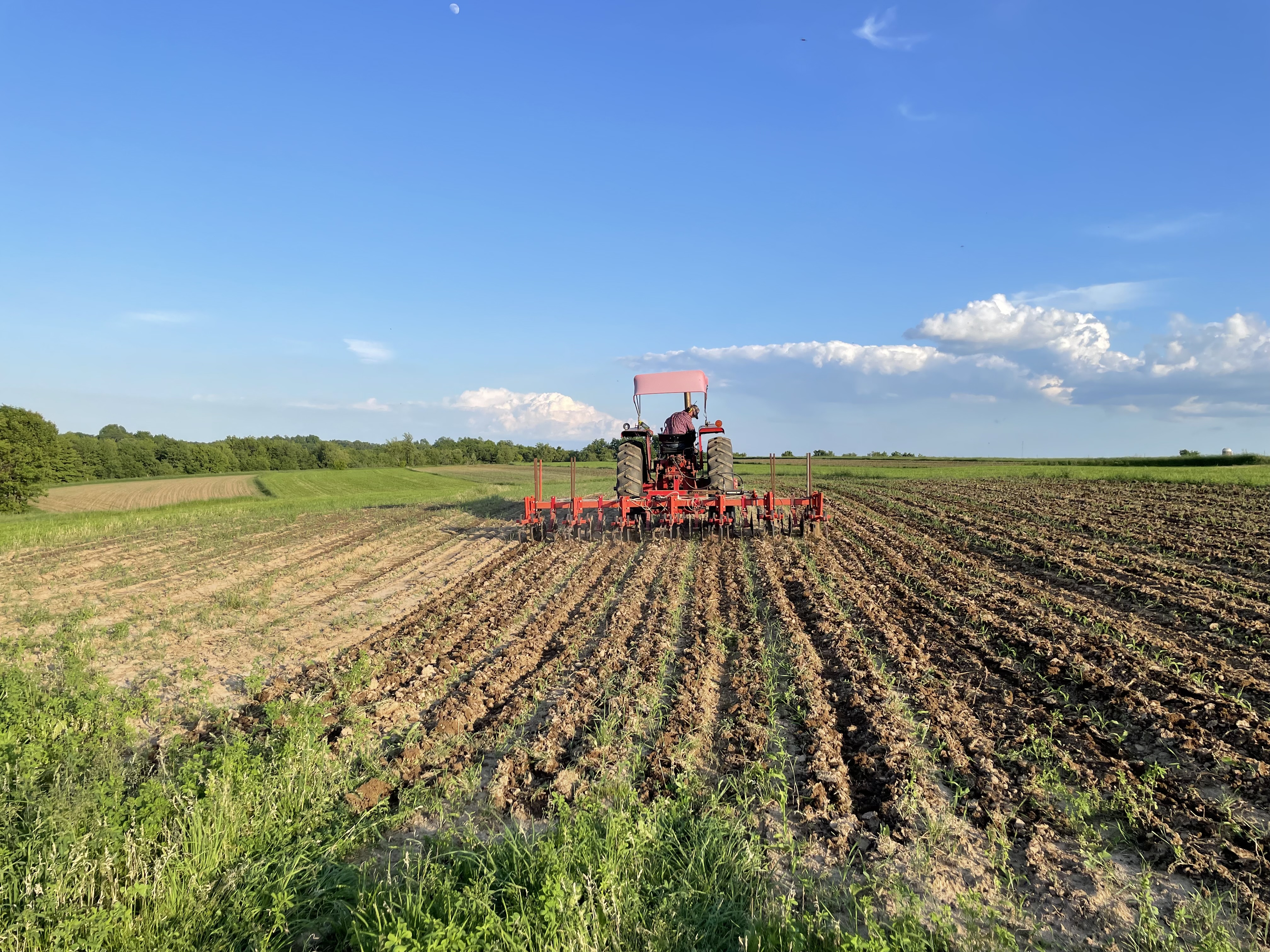 cultivating
