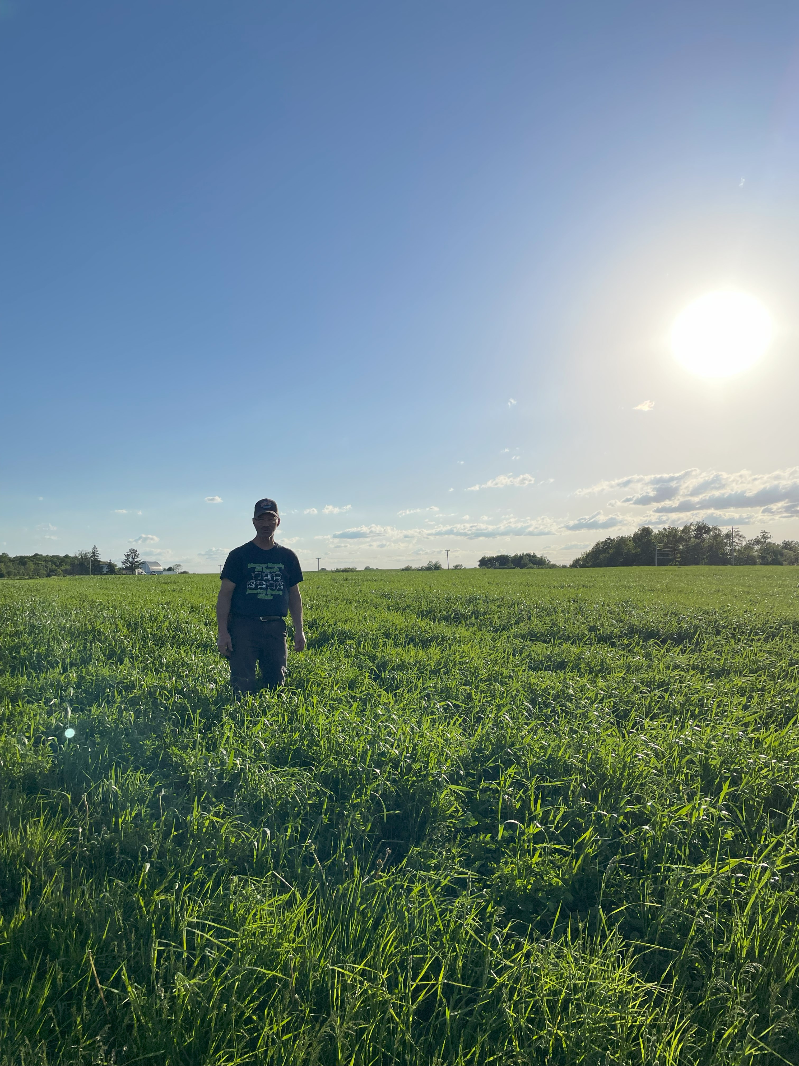 hayfield