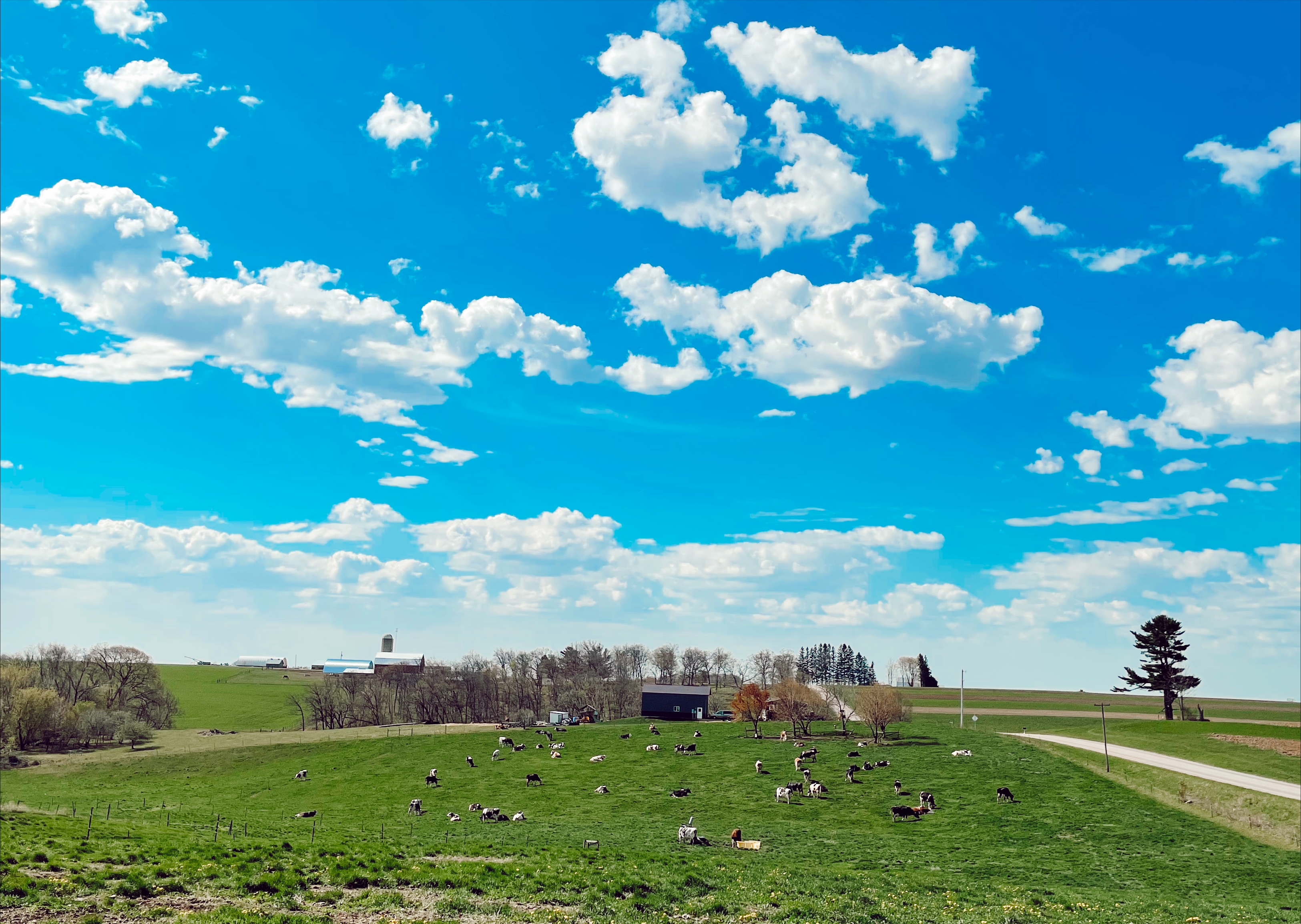 pasture